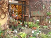 「ちぐさえん」　（北海道室蘭市）の花屋店舗写真3